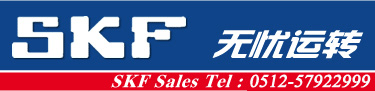SKF�S��-�o�n�\�D